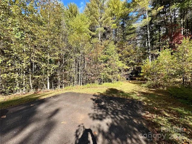 a view of dirt field with trees