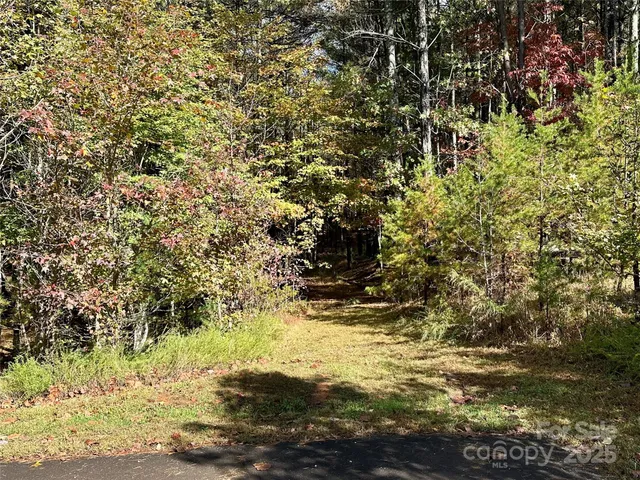 a view of outdoor space and yard