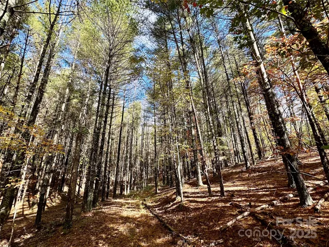 a view of outdoor space with yard