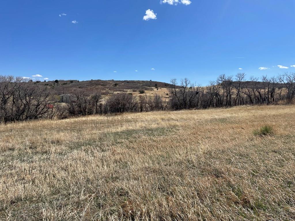 Tbd Lot 151 Tbd Road Rye, CO 81069 - Photo 2 of 4