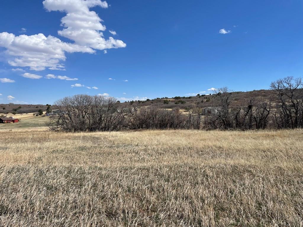 Tbd Lot 151 Tbd Road Rye, CO 81069 - Photo 4 of 4