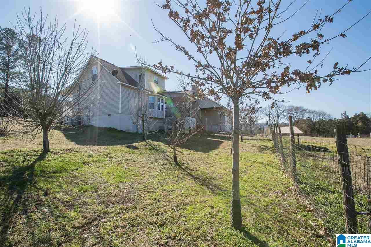 435 County Road 42 Oneonta, AL 35121 - Photo 35 of 40