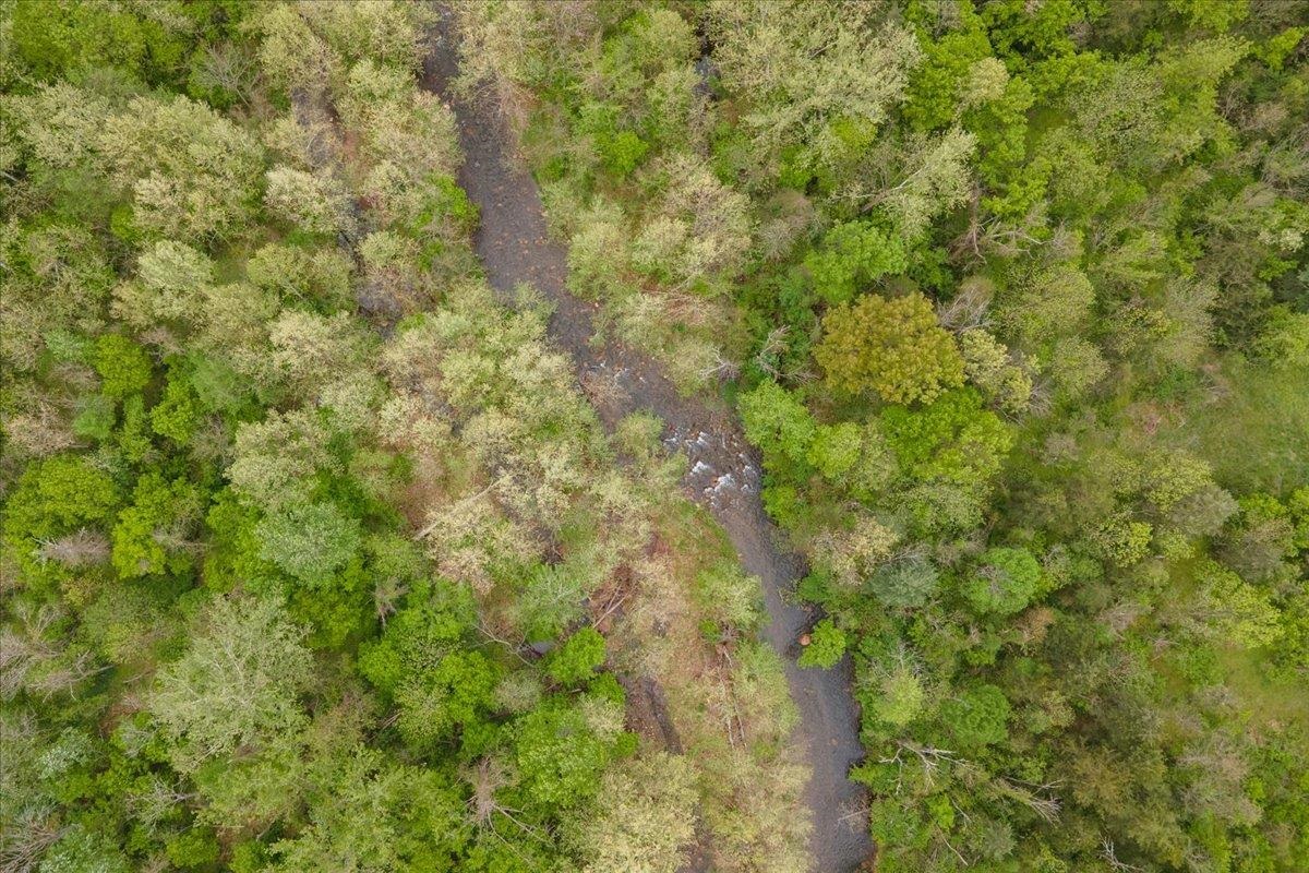 0 Loop Road Elkton, VA 22827 - Photo 12 of 15 Gallery Image 12