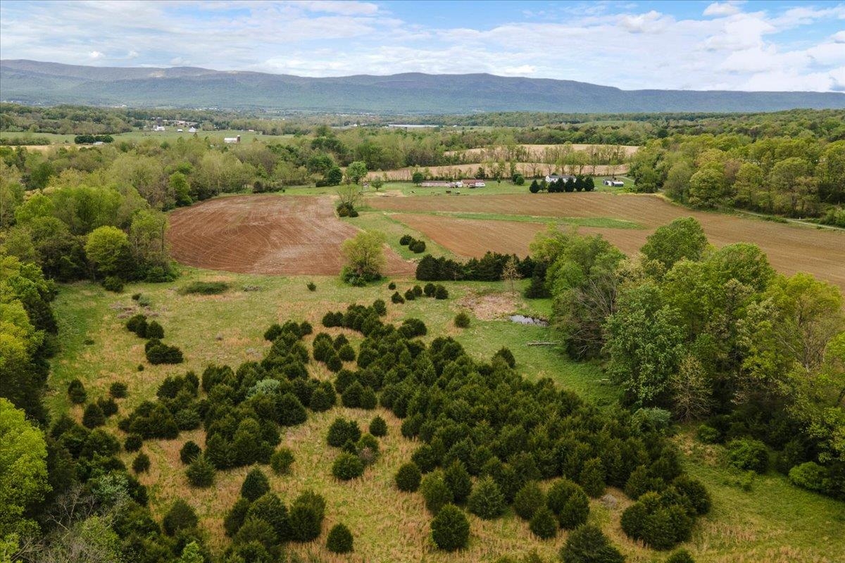 0 Loop Road Elkton, VA 22827 - Photo 9 of 15 Gallery Image 9