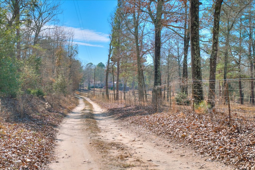 861 Colbert Bridge Road Aiken, SC 29803 - Photo 49 of 52