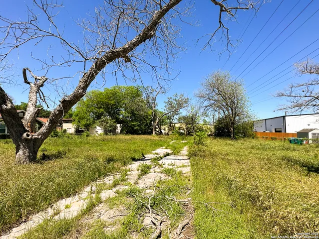 a view of a yard in front of a house