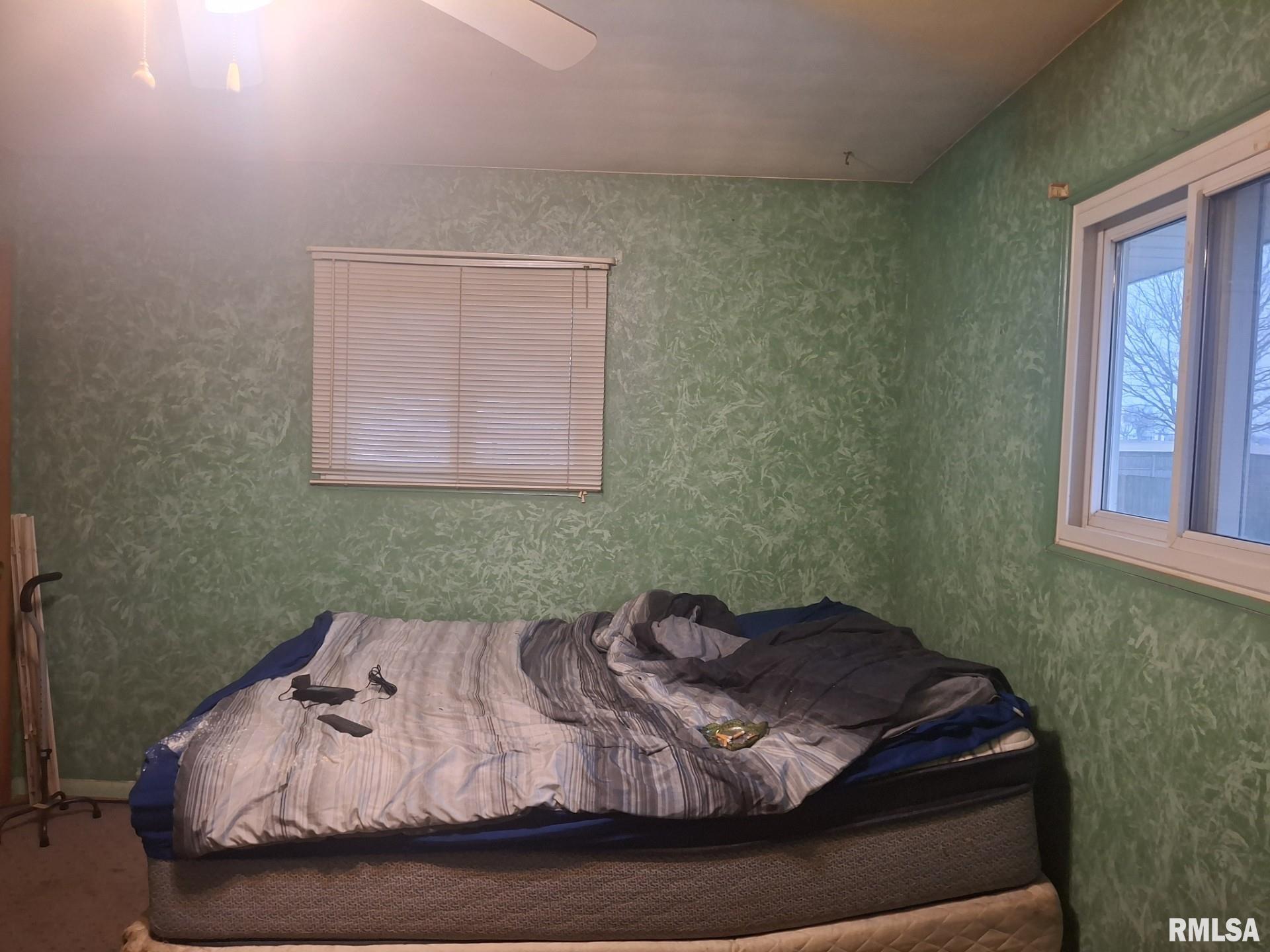 417 North Toepfer Street Tremont, IL 61568 - Photo 24 of 35