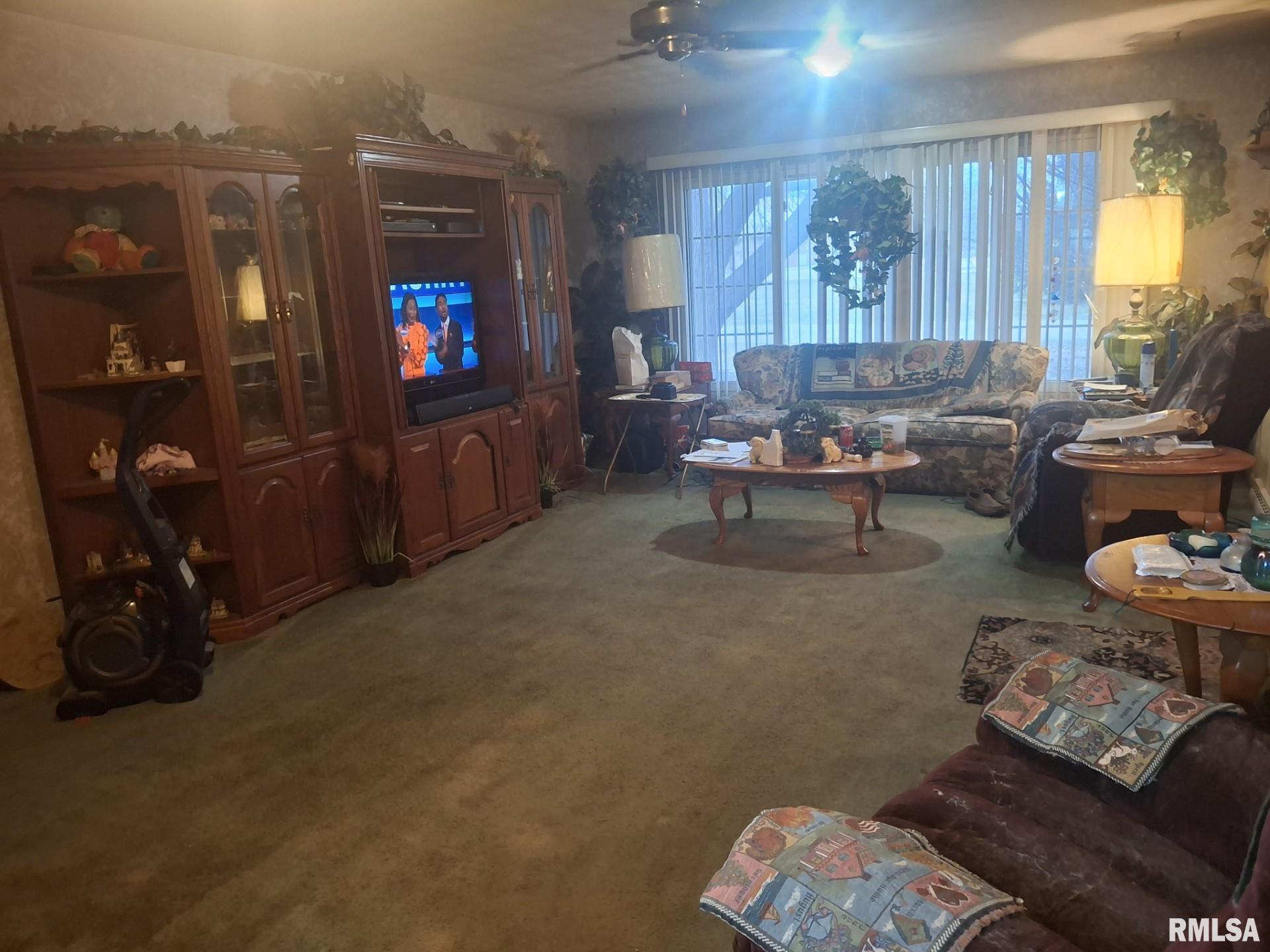 417 North Toepfer Street Tremont, IL 61568 - Photo 7 of 35