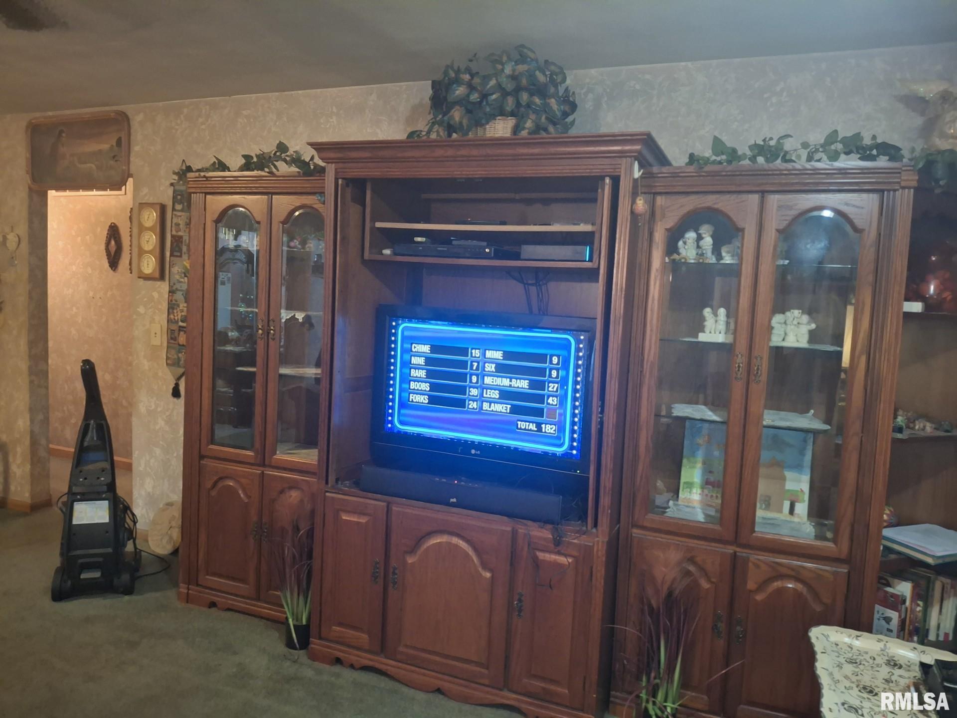 417 North Toepfer Street Tremont, IL 61568 - Photo 9 of 35