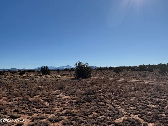 a view of a dry field with trees in background