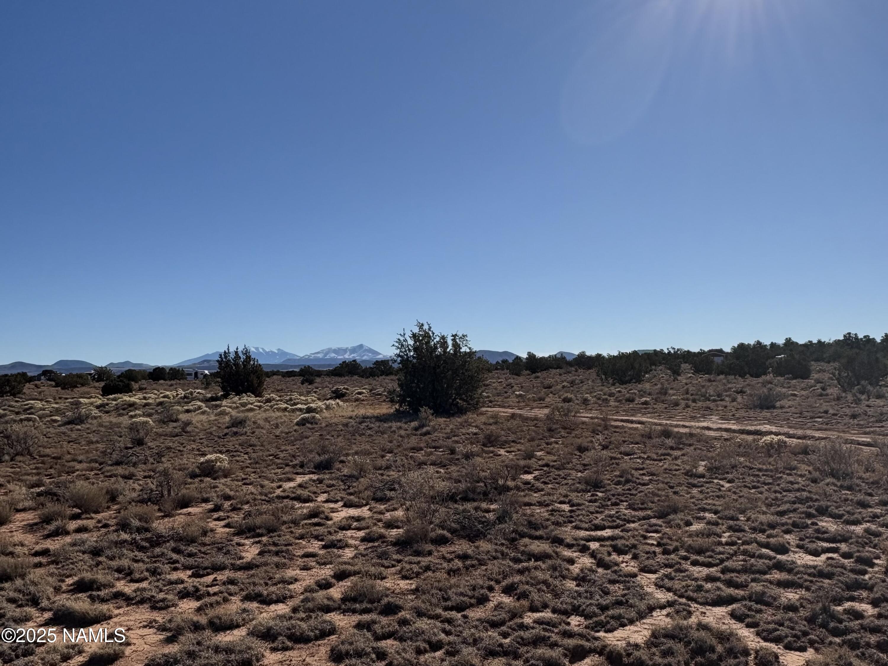 3195 Carmen Road Williams, AZ 86046 - Photo 3 of 4 a view of a dry field with trees in background