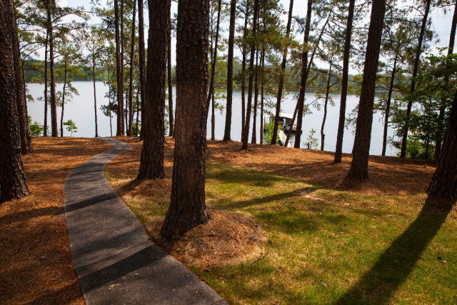 159 Pickett Drive Modoc, SC 29838 - Photo 8 of 36 Gallery Image 8