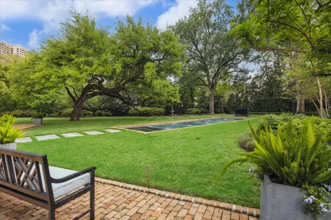 a view of a garden with plants