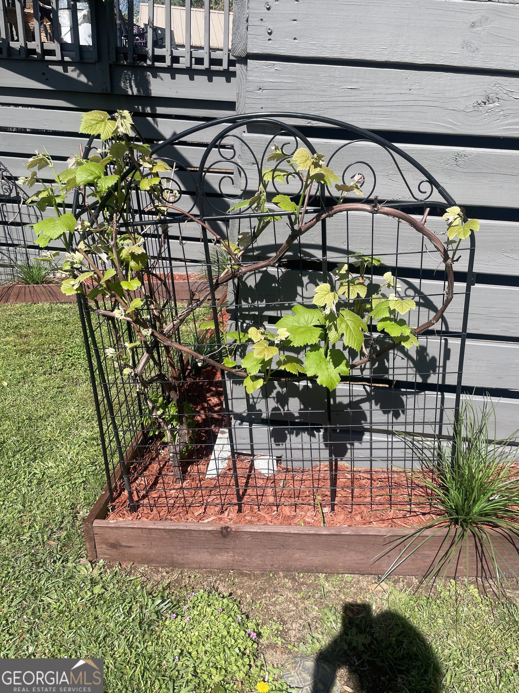 8 Cindy Parkway Cleveland, GA 30528 - Photo 36 of 78