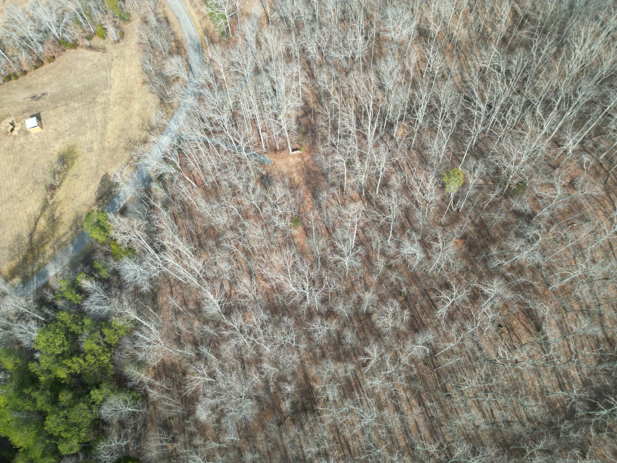 0 County Road 179 Decatur, TN 37322 - Photo 3 of 7