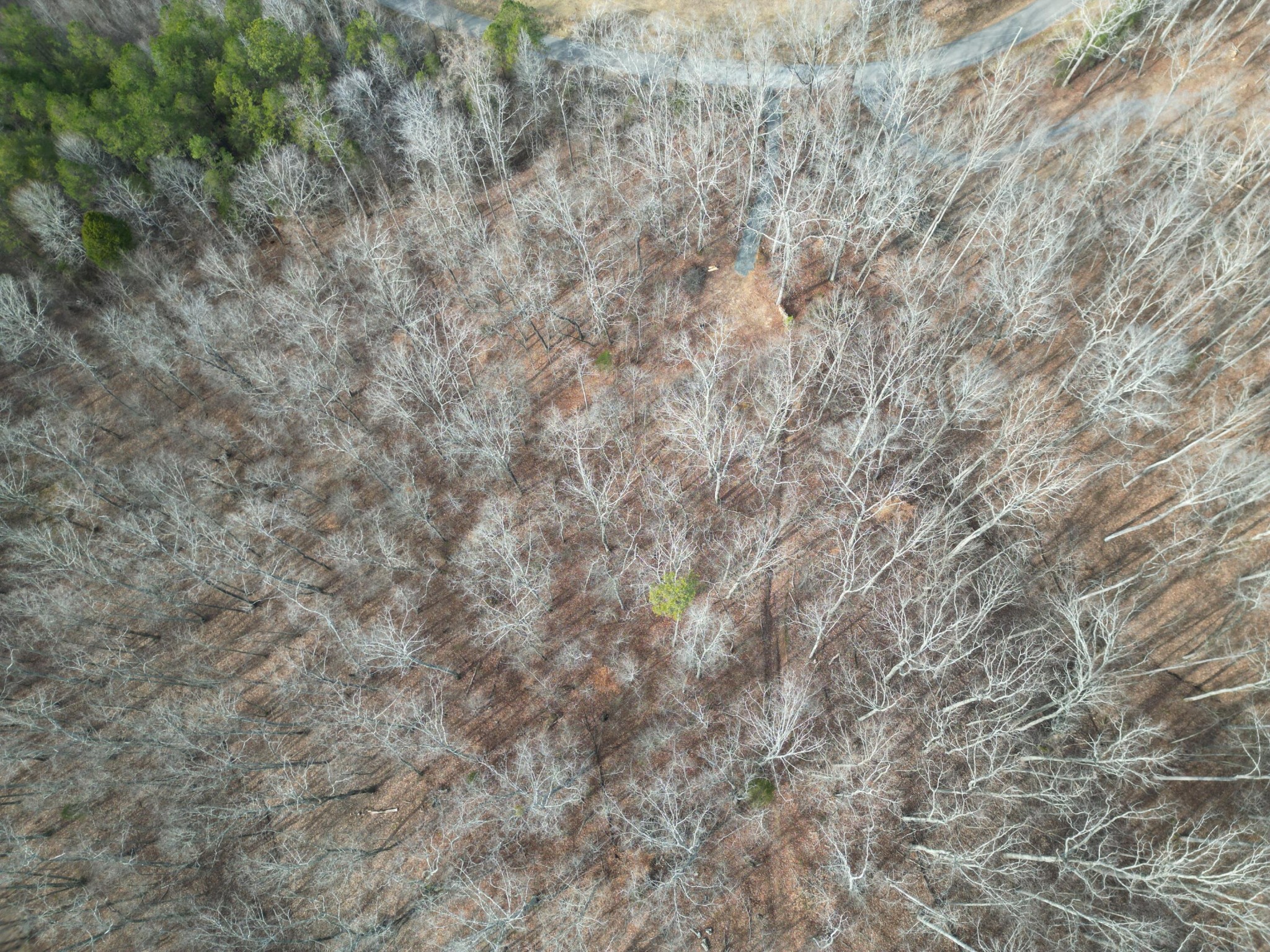 0 County Road 179 Decatur, TN 37322 - Photo 4 of 7