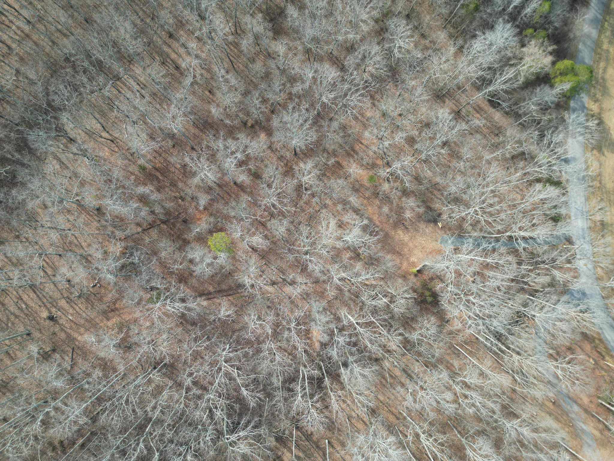 0 County Road 179 Decatur, TN 37322 - Photo 5 of 7