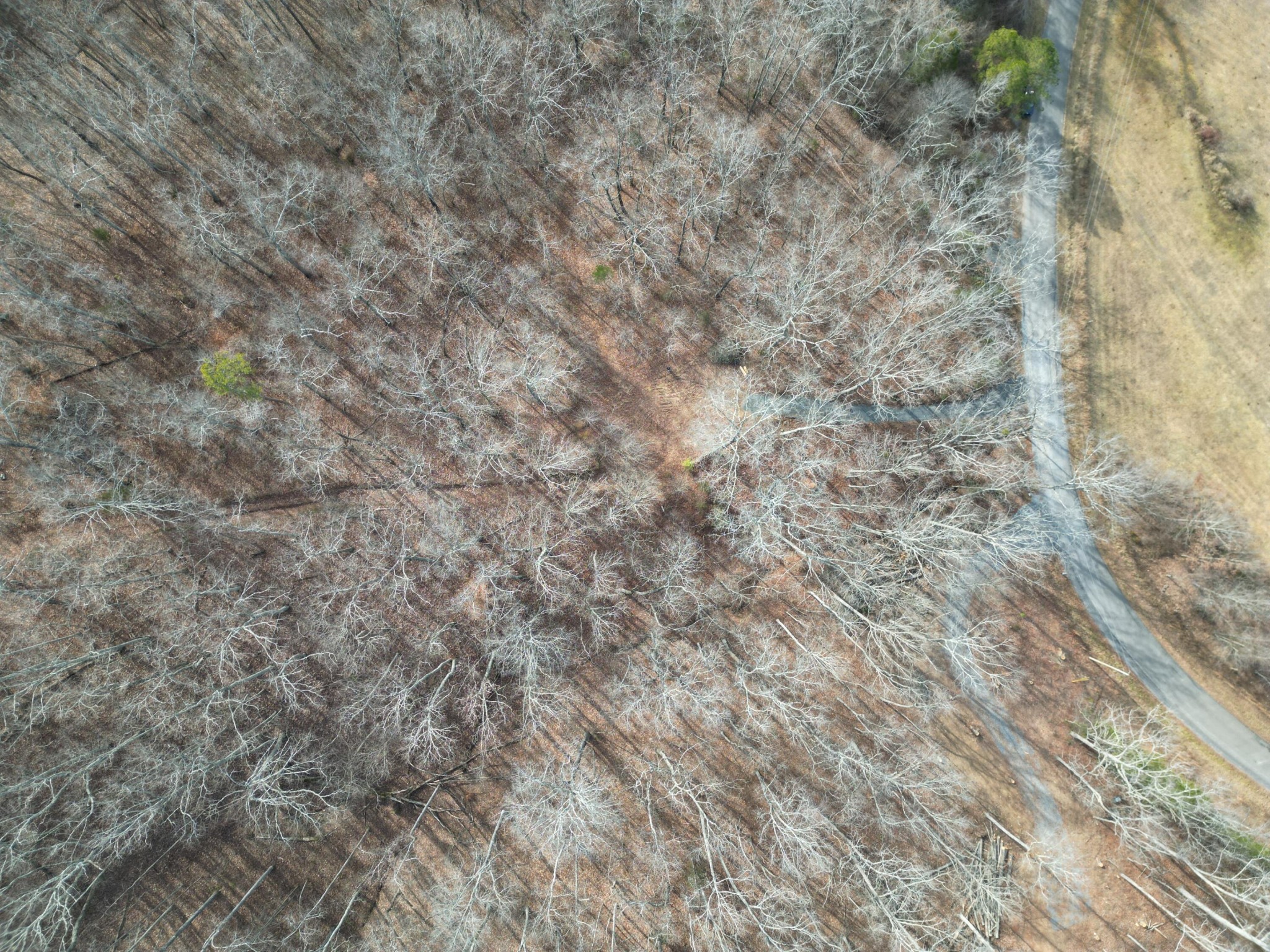 0 County Road 179 Decatur, TN 37322 - Photo 7 of 7