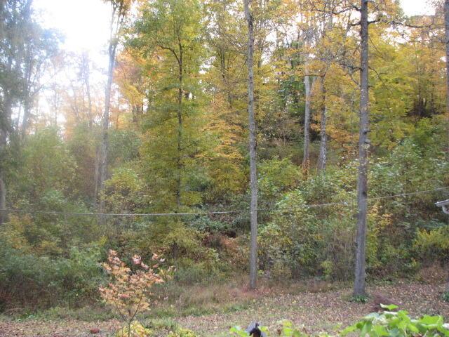 4165 Alten Road Sugar Grove, OH 43155 - Photo 12 of 78 IMG_4731
