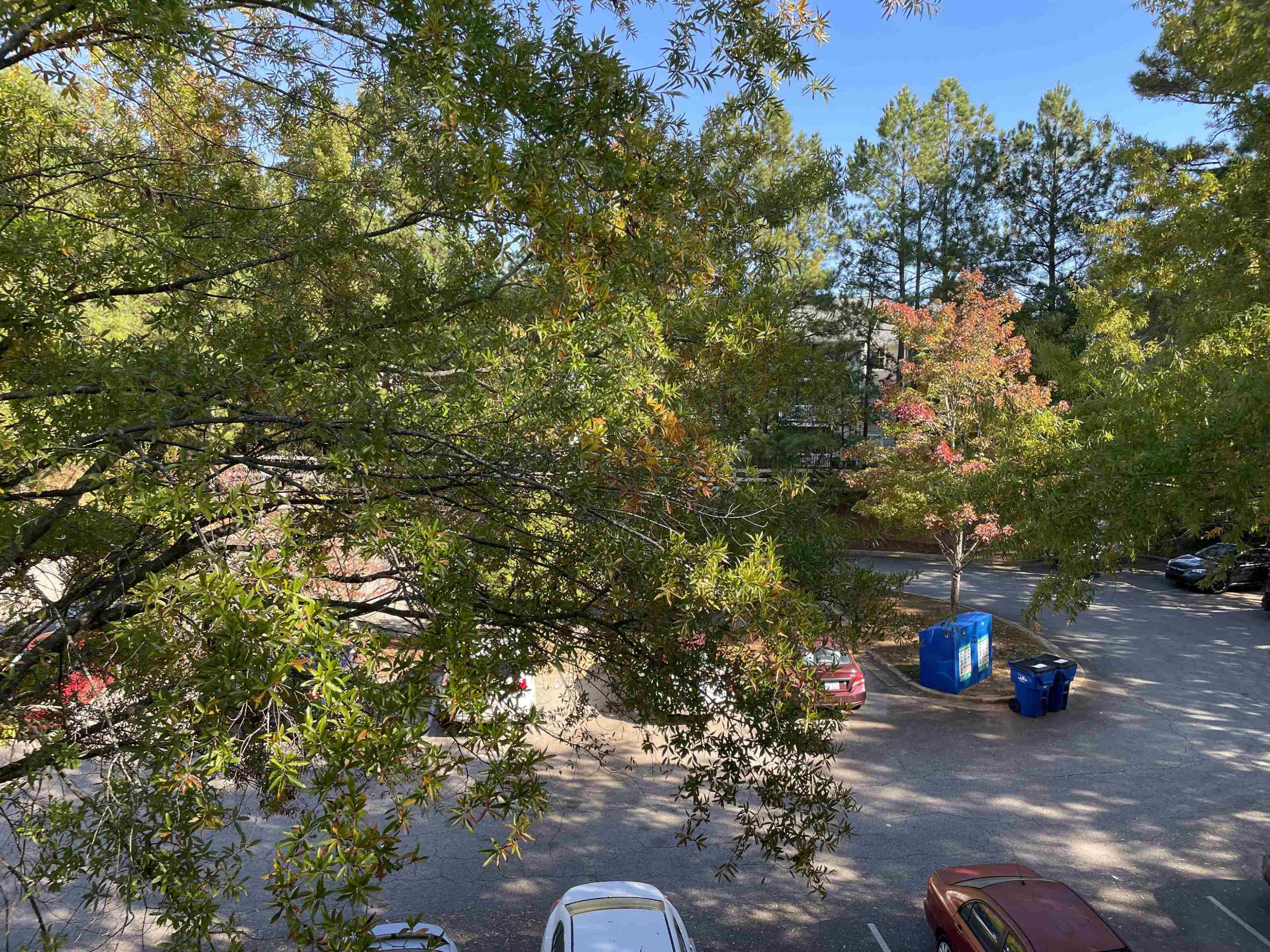 1221 University Court, Unit 302 Raleigh, NC 27606 - Photo 10 of 14 Photo 10