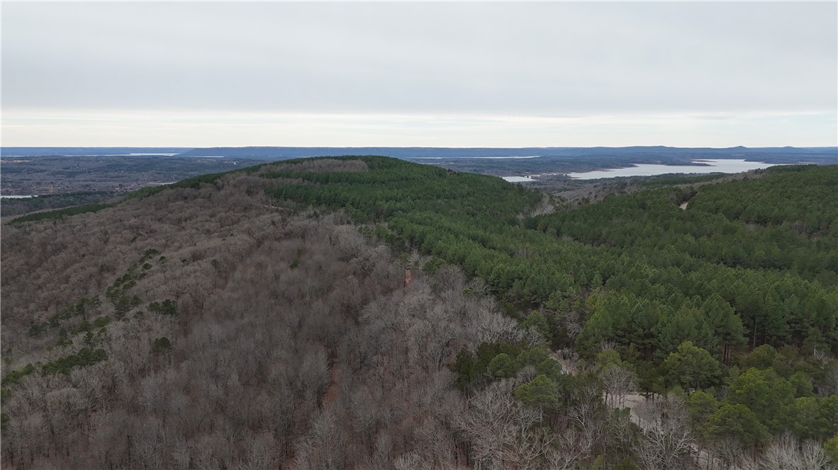 0 Old Brewer Road South Edgemont, AR 72044 - Photo 19 of 60 Aerial view of a forest
