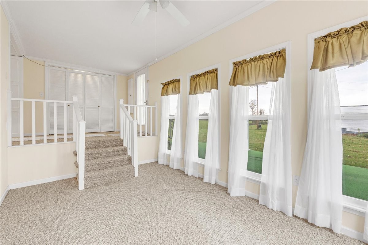 101 Williams Road Westmoreland, TN 37186 - Photo 22 of 33 Gallery Image 22