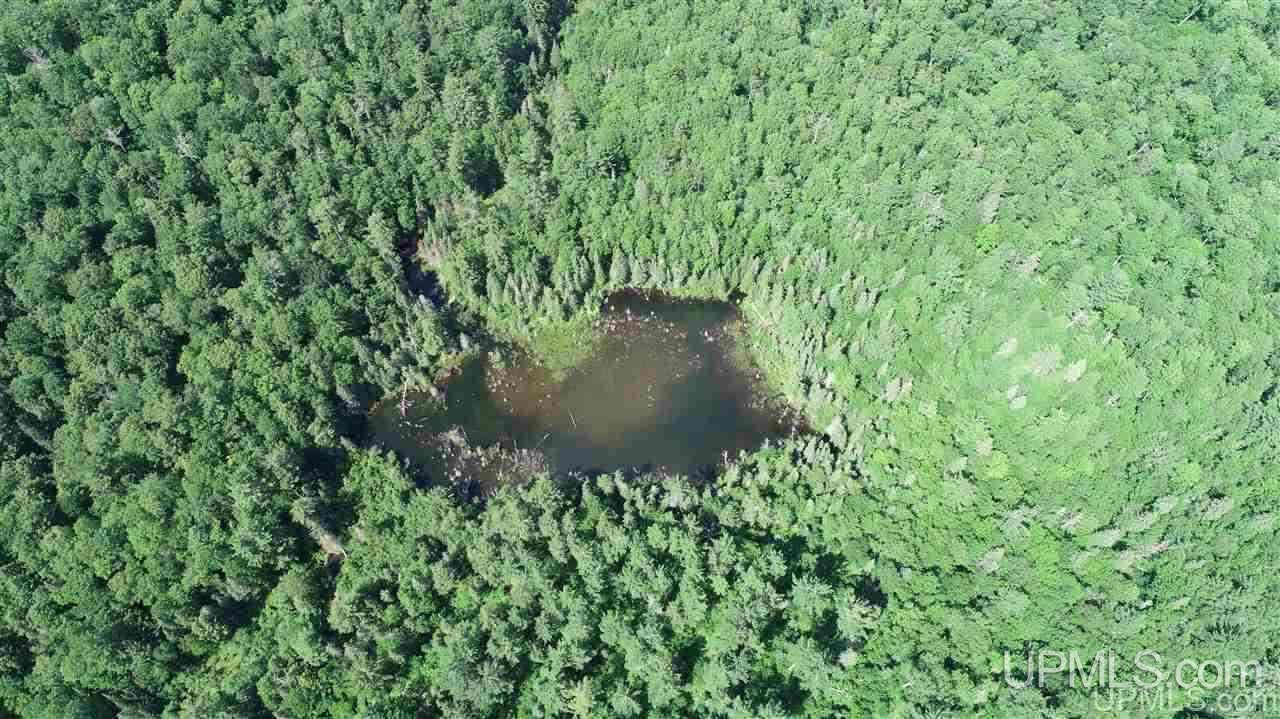 2804-acres Co Rd 442 McMillan, MI 49853 - Photo 9 of 48