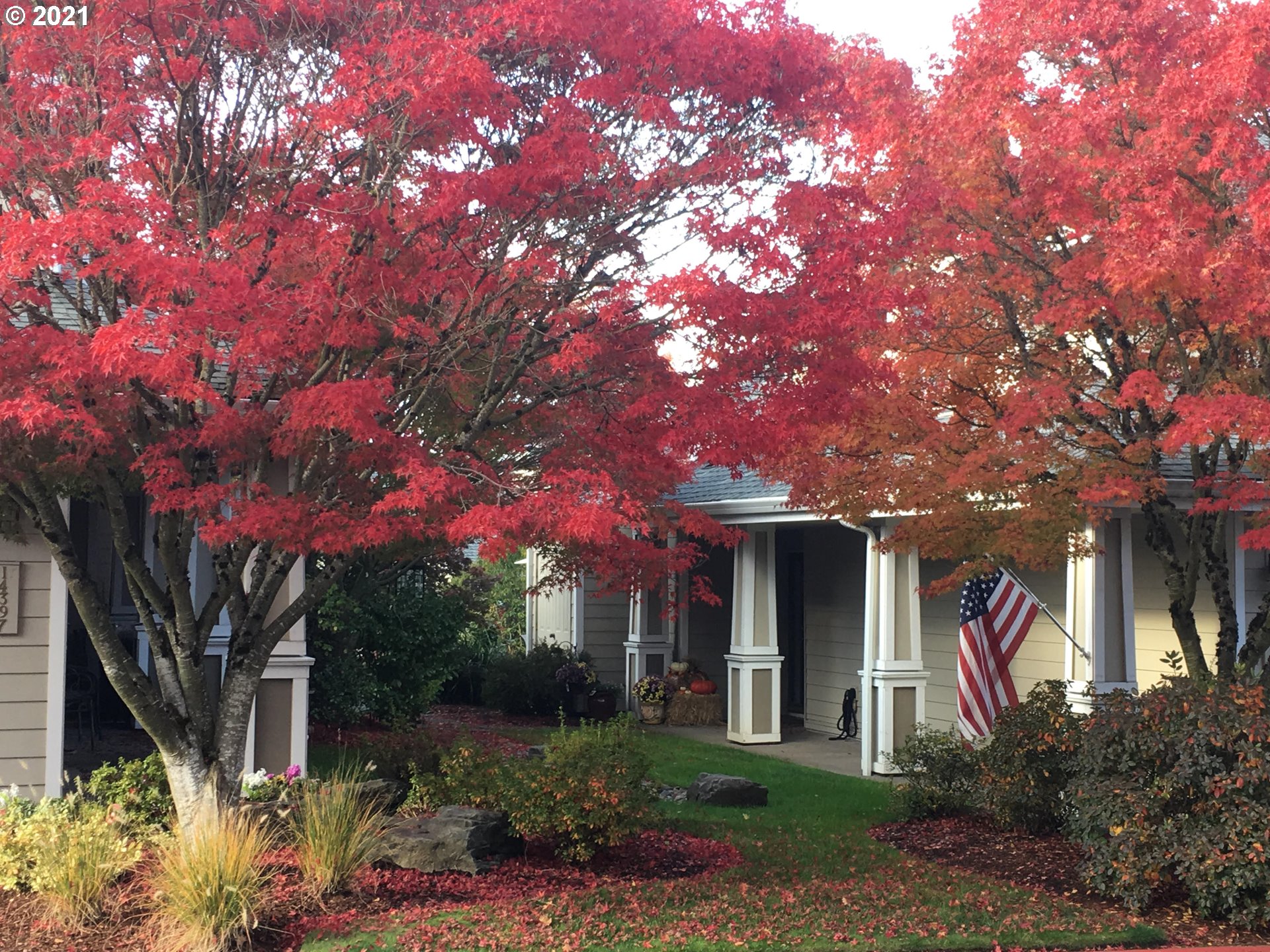 14403 Southwest Barrows Road Beaverton, OR 97007 - Photo 26 of 26 Gallery Image 26