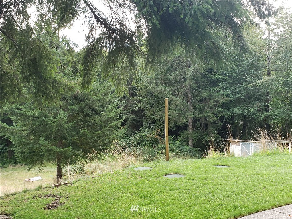 580 East Probert Road Shelton, WA 98584 - Photo 11 of 20 Gallery Image 11