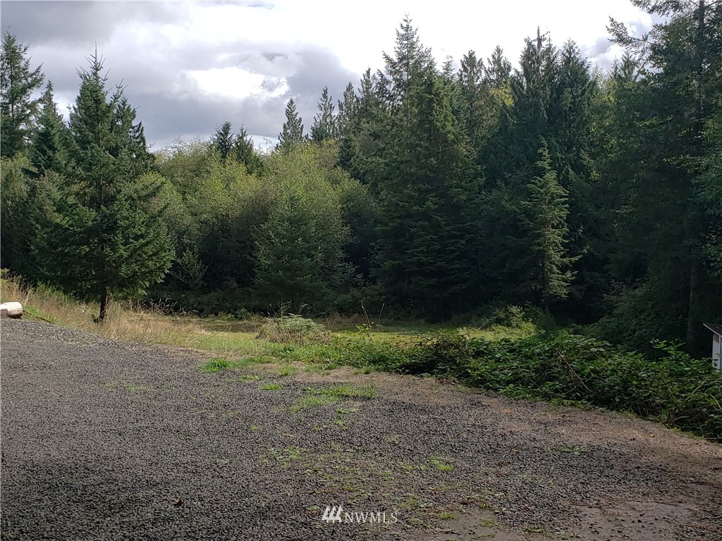 580 East Probert Road Shelton, WA 98584 - Photo 7 of 20 Gallery Image 7