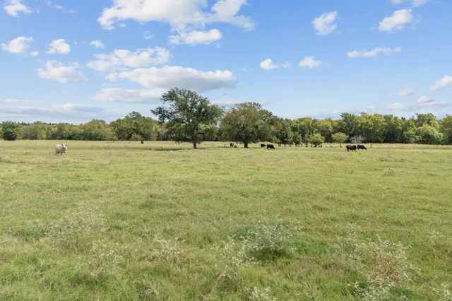 a view of outdoor space and yard