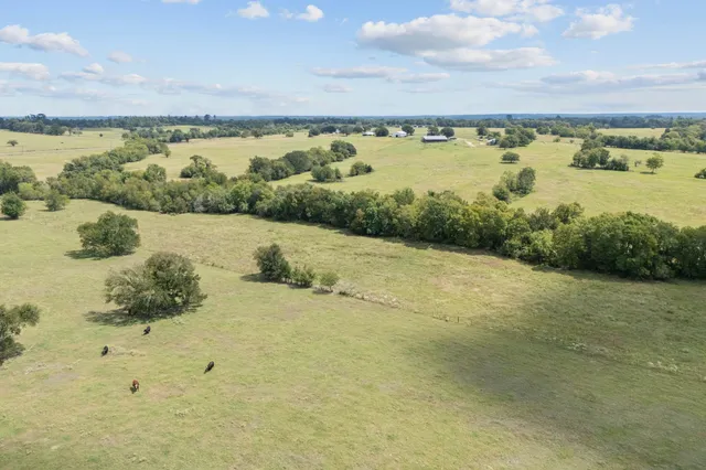 a view of an ocean and beach