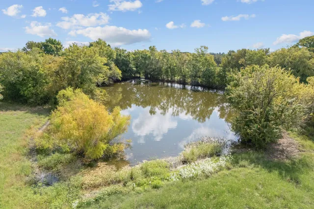 a view of a lake from a yard