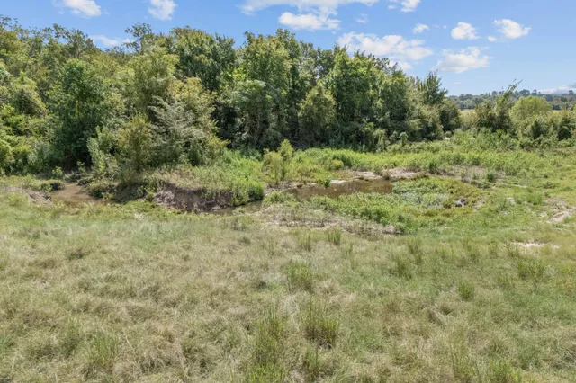 a view of a field of grass and trees