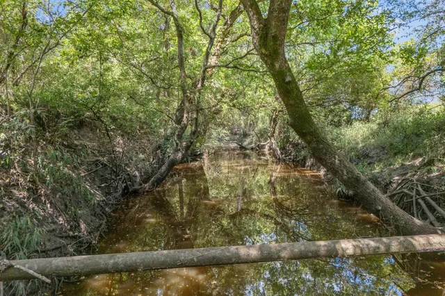 a view of a yard from a balcony