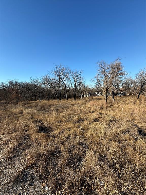 0 Comewell Court Runaway Bay, TX 76426 - Photo 4 of 5