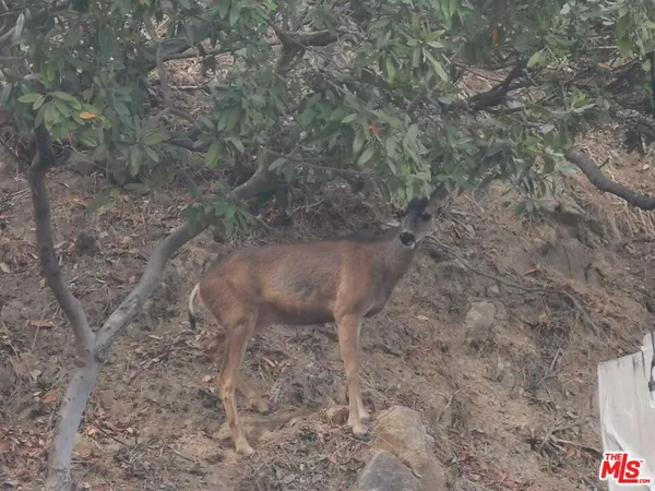 $3,499,000 | 10940 Terryview Drive, Studio City, CA 91604