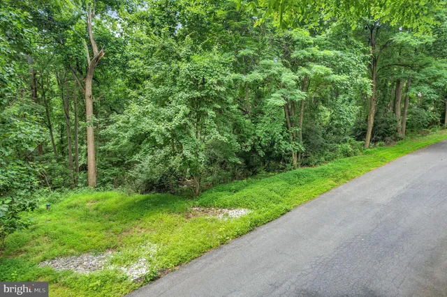 an aerial view of residential houses with outdoor space and trees