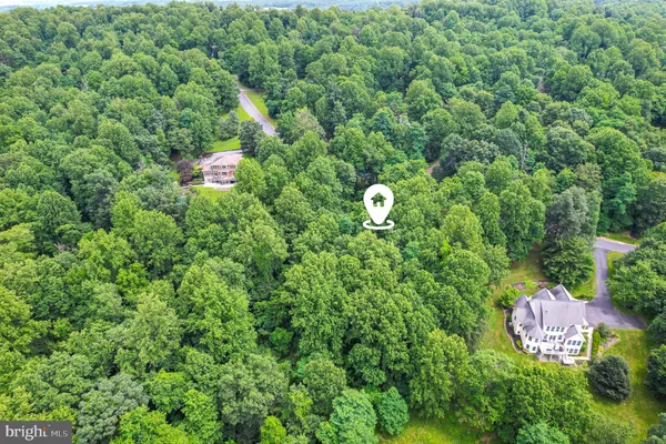 a view of a house with a outdoor space and a forest