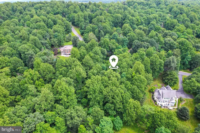 a view of a house with a outdoor space and a forest