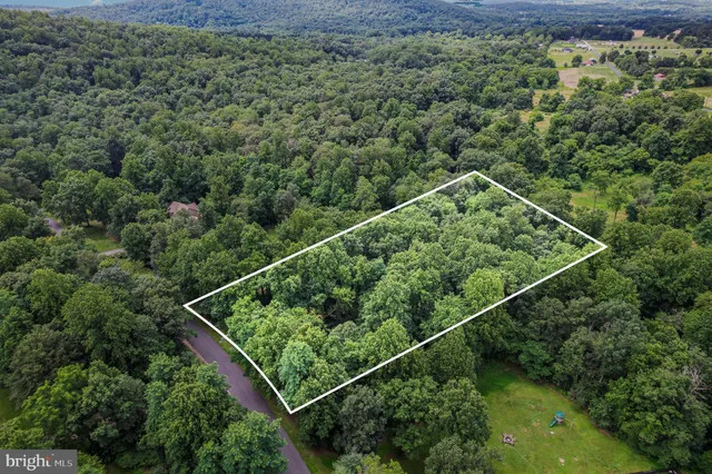 a view of a lush green forest with a houses