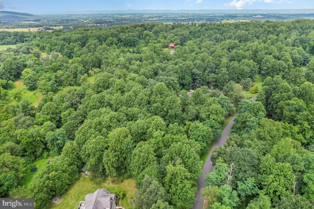 a view of a yard with plants