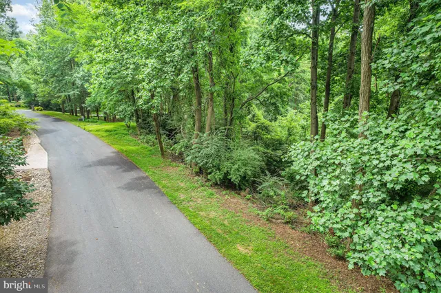 a view of a yard with a trees