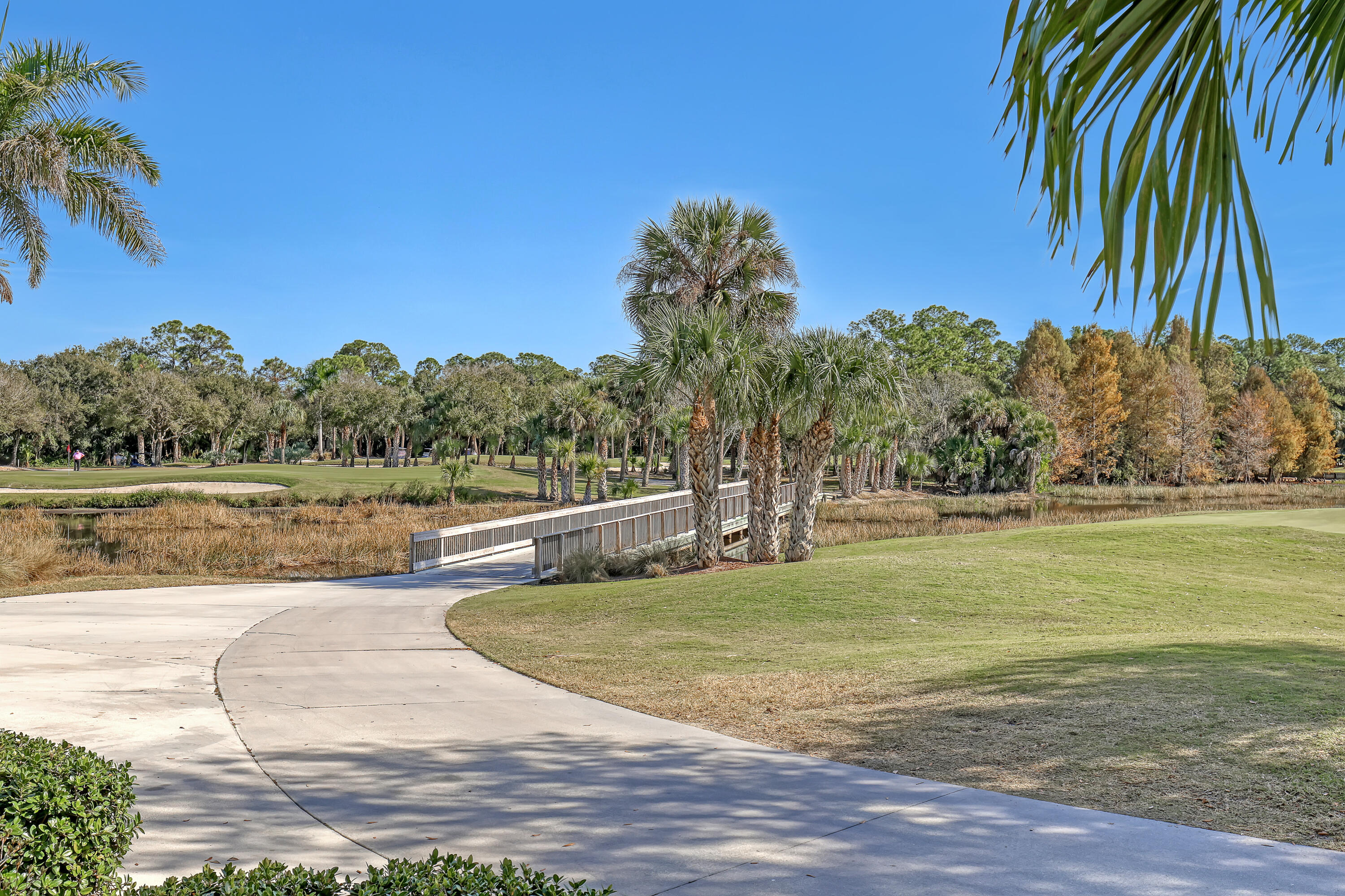 907 Southwest Balmoral Trace Stuart, FL 34997 - Photo 45 of 46 a view of a swimming pool with a yard and palm trees