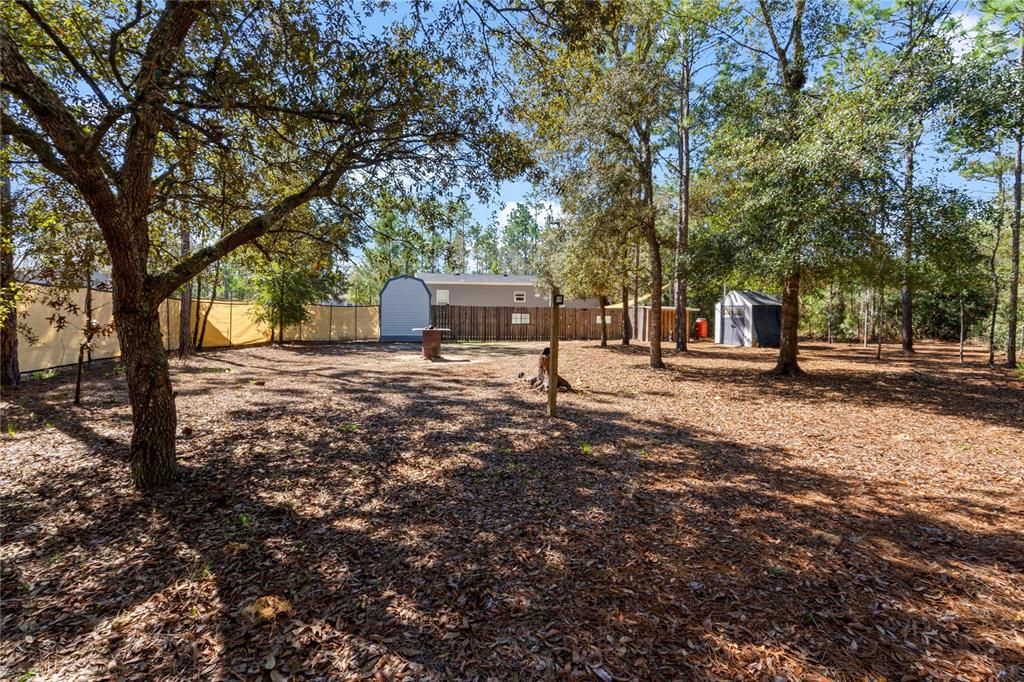 10811 Northeast 57th Street Bronson, FL 32621 - Photo 3 of 21 a view of a backyard with tree
