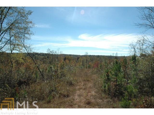 0 Antioch Road, Unit 55AC Franklin, GA 30217 - Photo 1 of 1