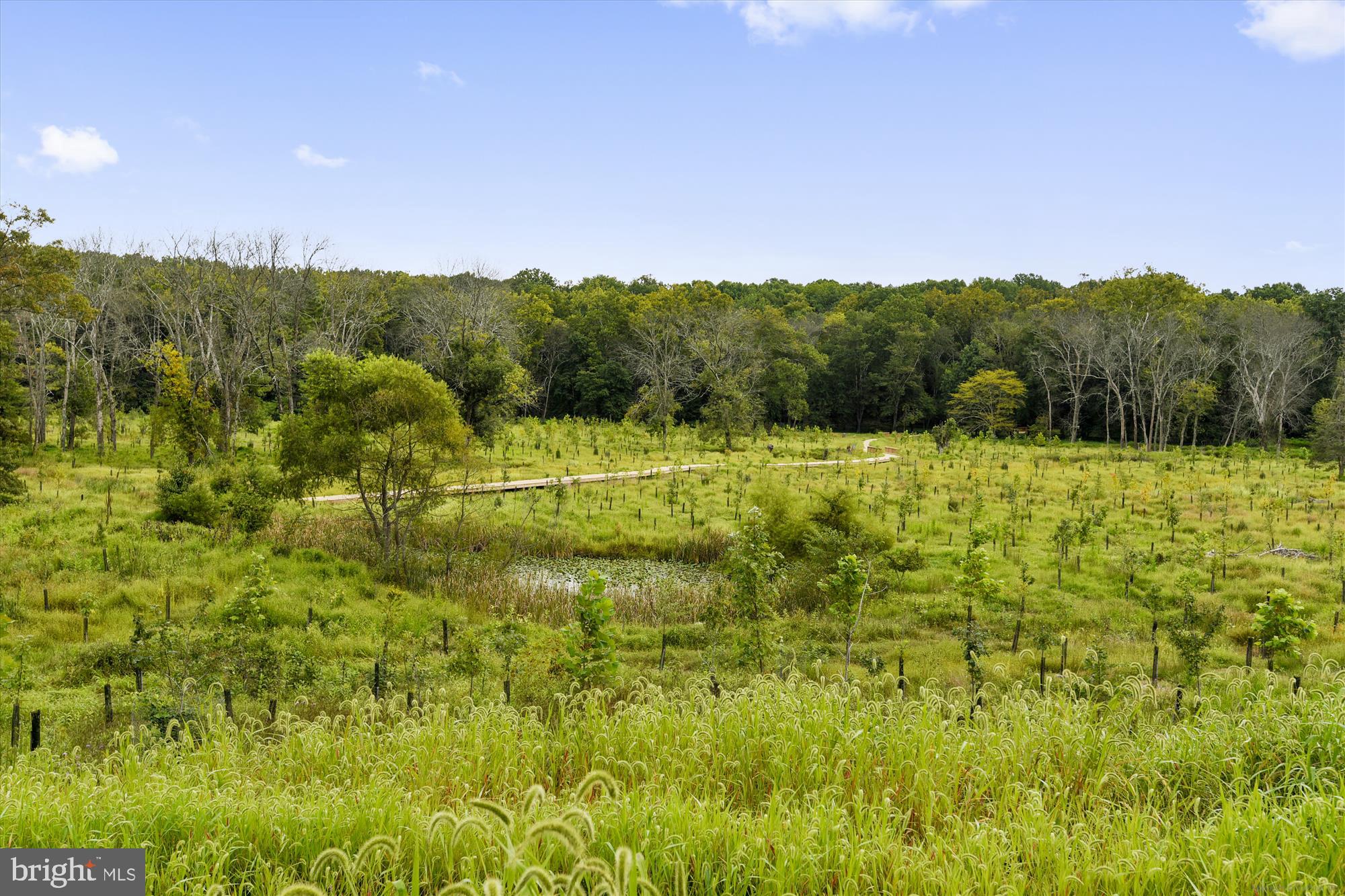 1105 Sweetbay Place Silver Spring, MD 20906 - Photo 82 of 116 Miles of Poplar Run Park/Trail
