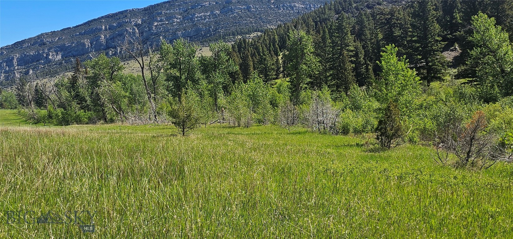 Lot 11 South Boulder Road Cardwell, MT 59721 - Photo 6 of 14 Gallery Image 6