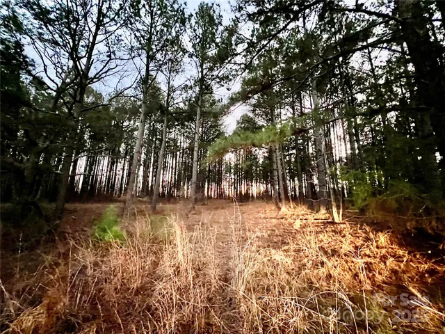 $100,000 | Tbd Wateree Road, Great Falls, SC 29055