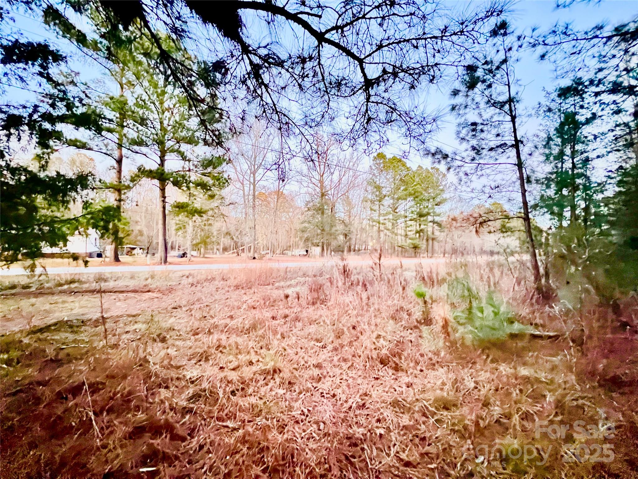 Tbd Wateree Road Great Falls, SC 29055 - Photo 5 of 11